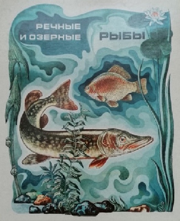 Коллекционный набор спичек "Речные и озерные рыбы"